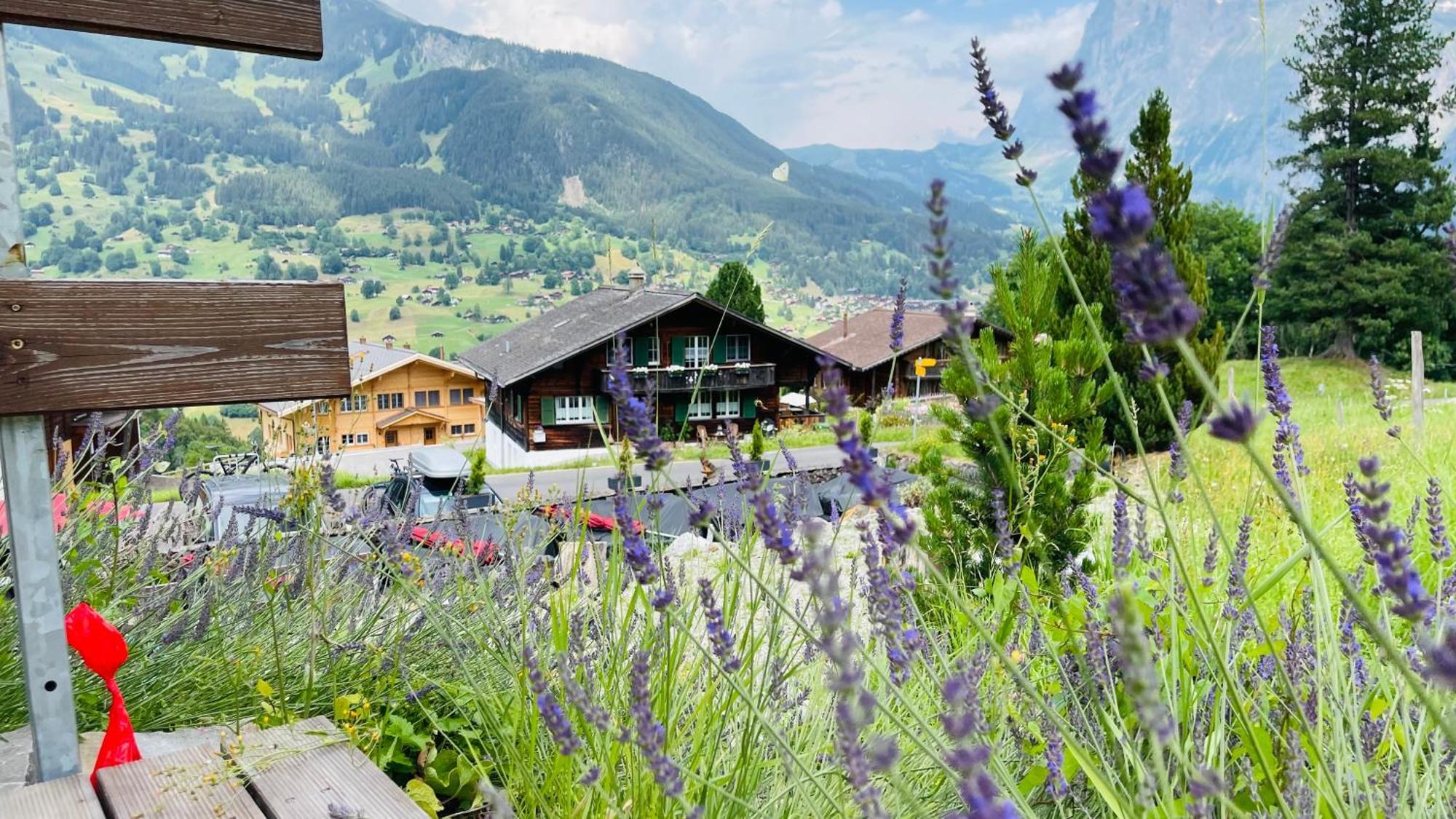 Hotel Jägerstübli Grindelwald Exterior foto